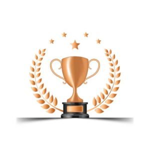 Mohammad Shafi Qureshi, Governor of Madhya Pradesh felicitated Ar. Achal K Choudhary & Mrs. Kumudini Choudhary for their outstanding services in 1995.